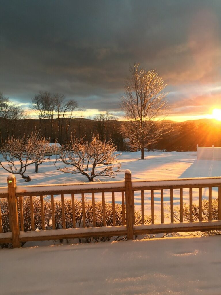 fence and patio winter