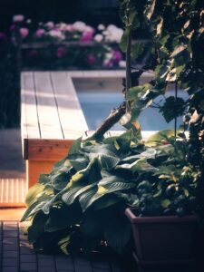 fence repair and fence installation Kissimmee Florida 