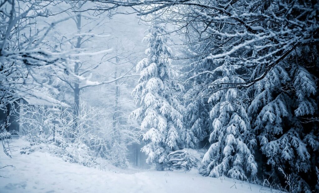 Tips for your fence and deck in winter